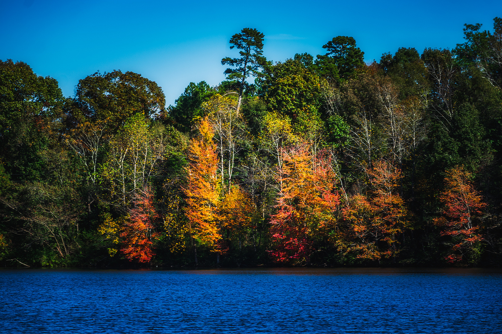 Landscapes Collection